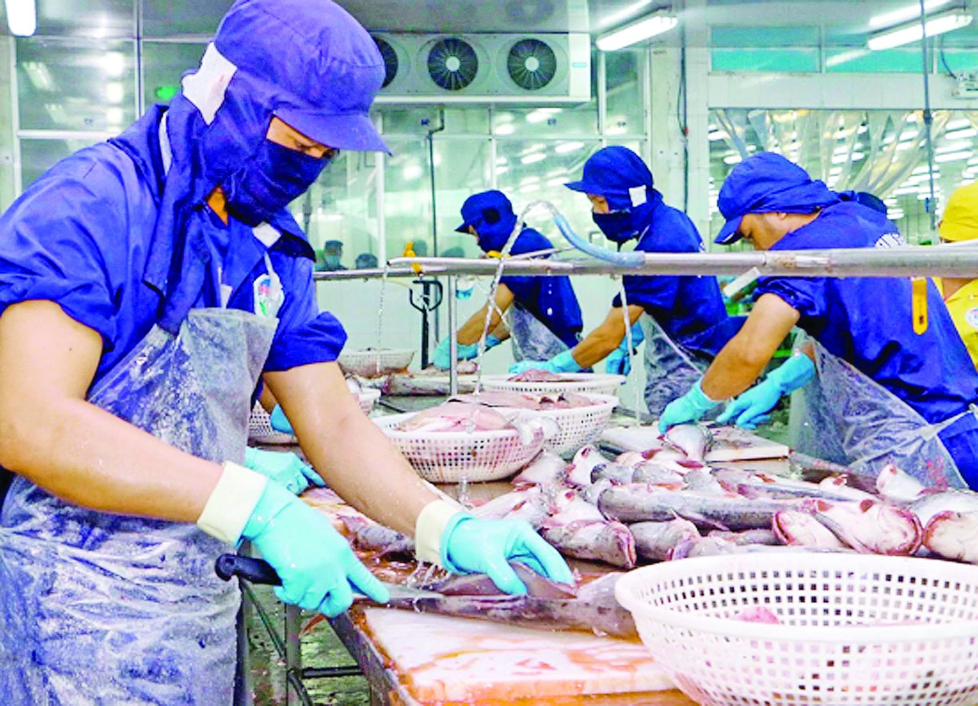 high price hampers vietnams seafood exports to asia pacific markets